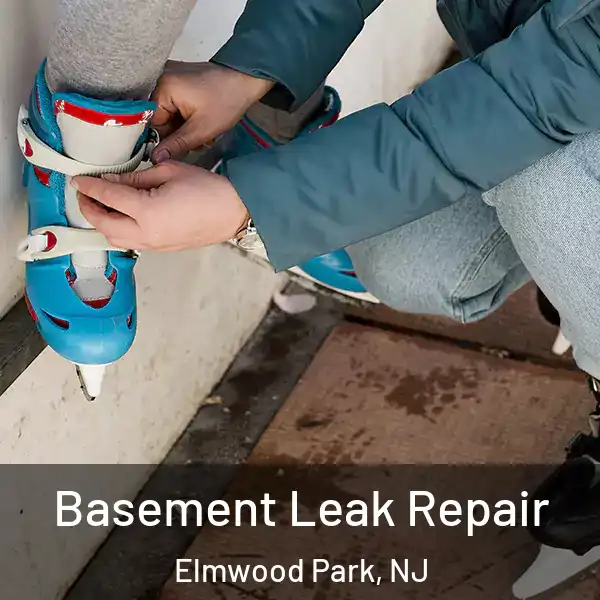  Basement Leak Repair Elmwood Park, NJ