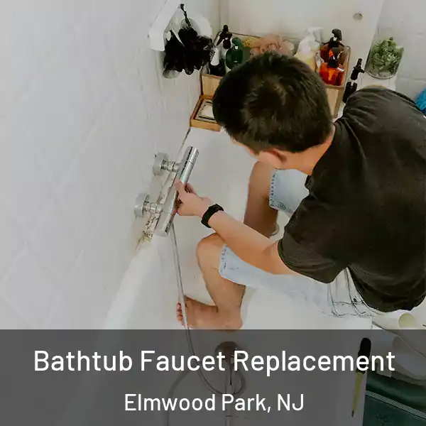  Bathtub Faucet Replacement Elmwood Park, NJ