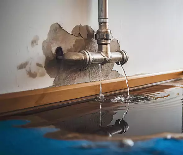Professional Water Damage Restoration Experts in Elmwood Park, NJ — Fast, Reliable & Certified