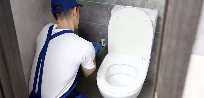 Toilet Lid Replacement in Elmwood Park