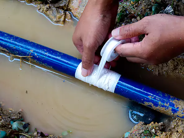  Why Choose Elmwood Park Plumbing Pro for Leak Detection in Elmwood Park, NJ?]