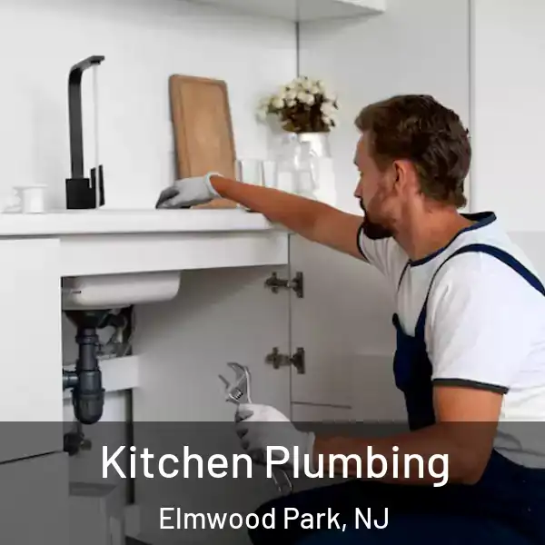  Kitchen Plumbing Elmwood Park, NJ