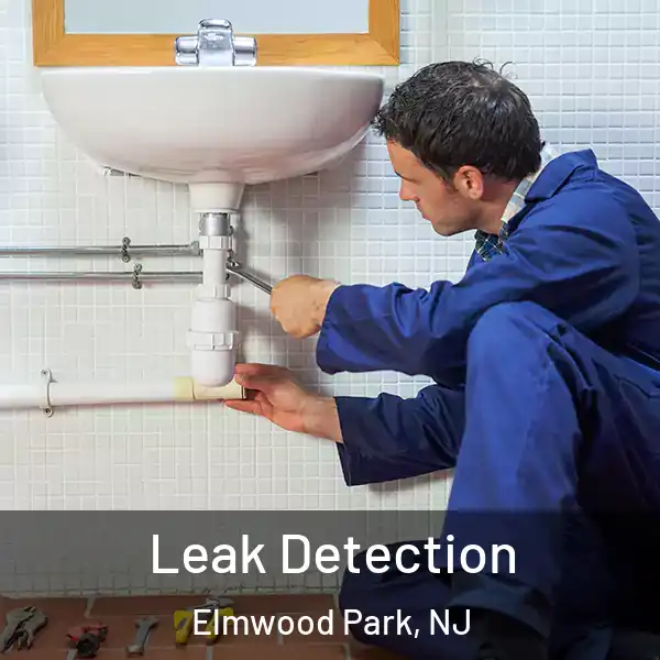  Leak Detection Elmwood Park, NJ