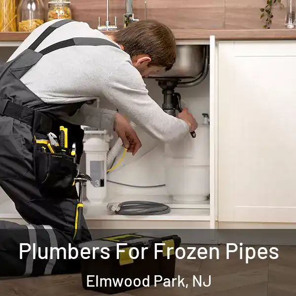  Plumbers For Frozen Pipes Elmwood Park, NJ