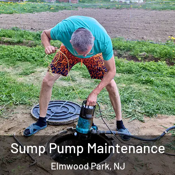  Sump Pump Maintenance Elmwood Park, NJ